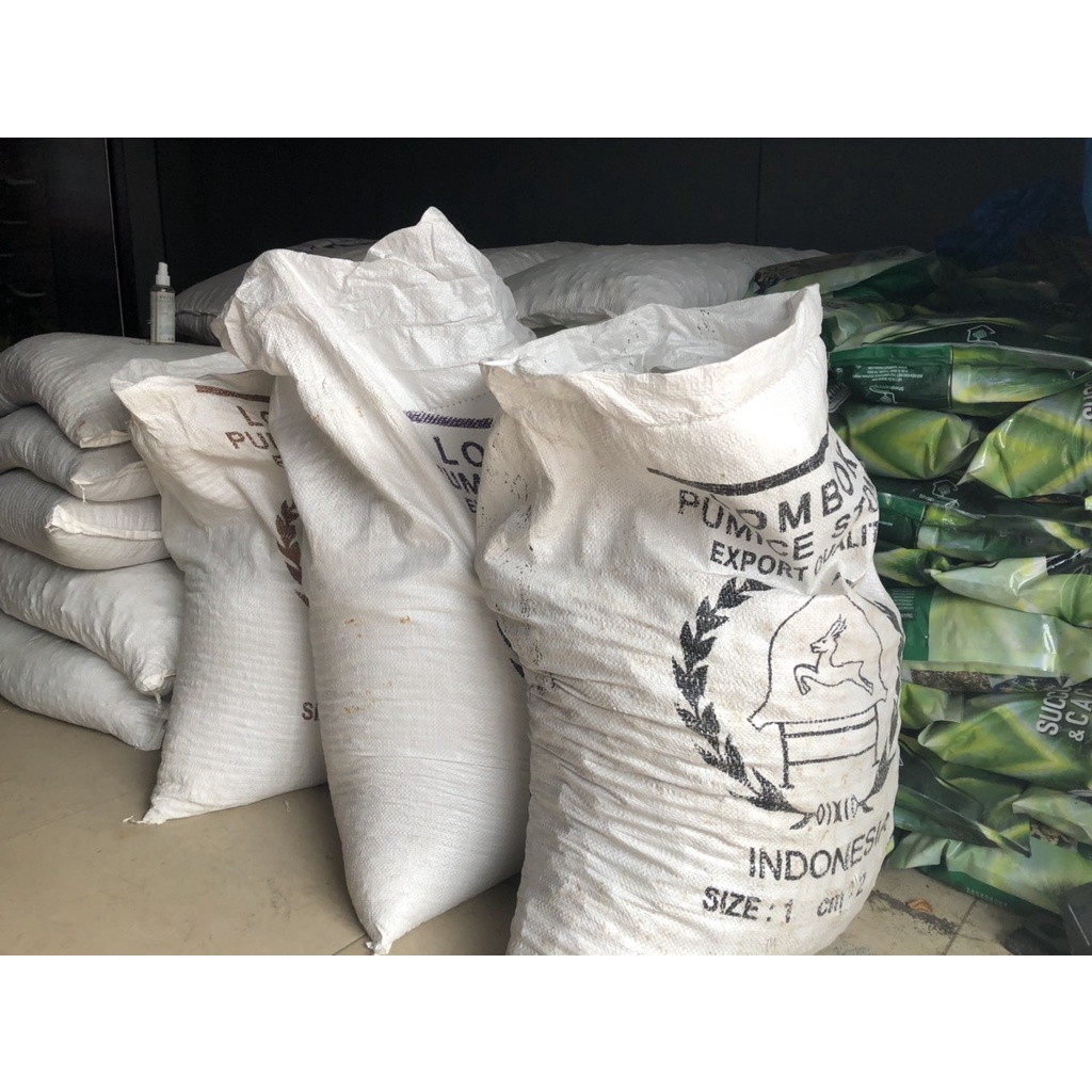 Đá Pumice Indo Đá Bọt Trồng Sen Đá Xương Rồng