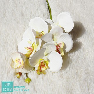 Hoa Giả Hoa Lụa - LAN HỒ ĐIỆP CAO CẤP 1 Cành 5 Bông Lớn