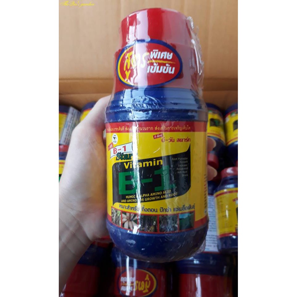 Vitamin B1 (Chai 500ml)