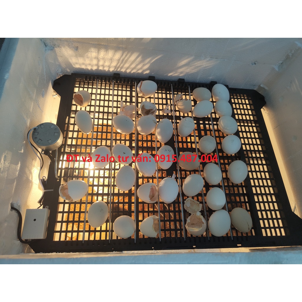 Khay Đảo Trứng Gà Tự Động - 54 Trứng - Vừa với thùng xốp 60x45x40cm