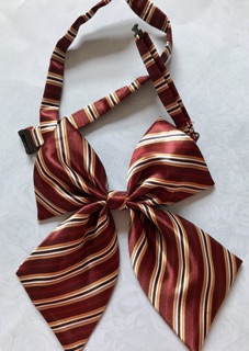 Nơ đeo cổ nữ ( Sỉ và Lẻ )