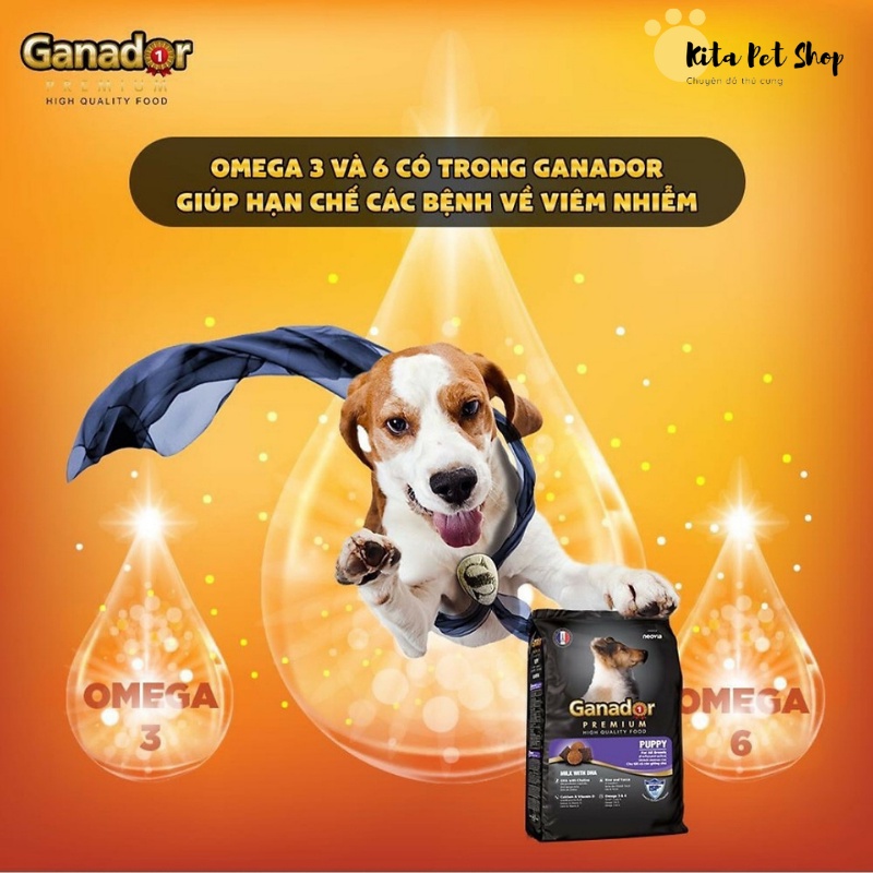 Thức Ăn Cho Chó Gói 400gr Chó Con Chó Trưởng Thành Chó Lớn Ganador - FIB's- Smartheart - adult - puppy