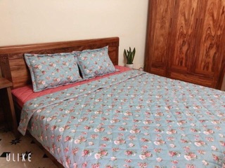 Vải thô lụa Hàn quốc 100% cotton, 75k/m