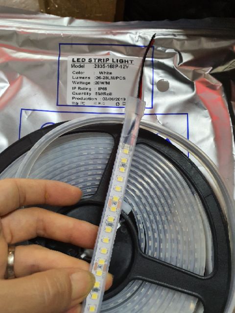Led dây 12v 5m chống nước  2835 168P