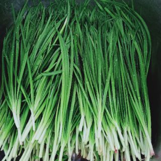Siro ho thảo mộc dân gian 🌿🌿
