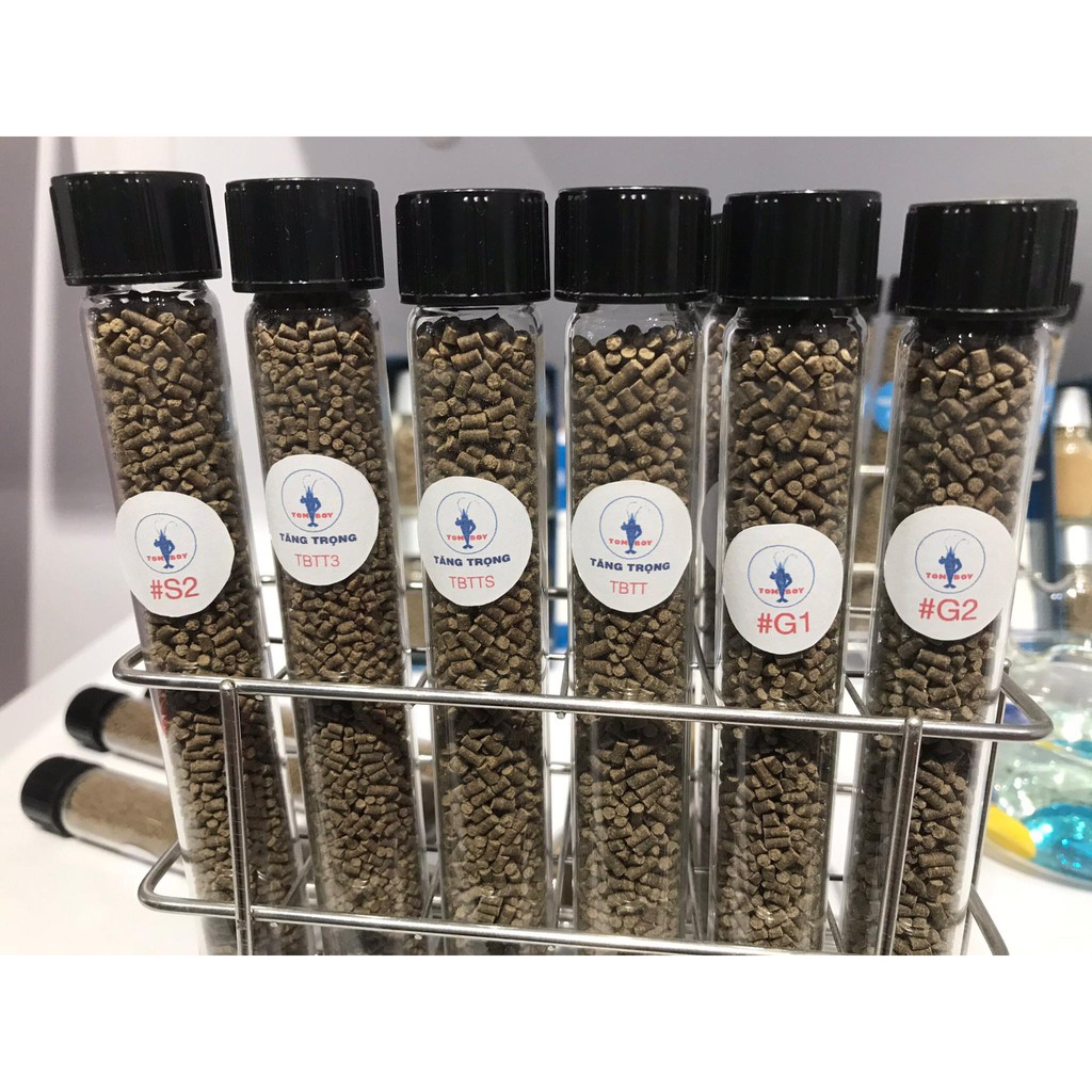 Cám Cá Vàng: Tomboy