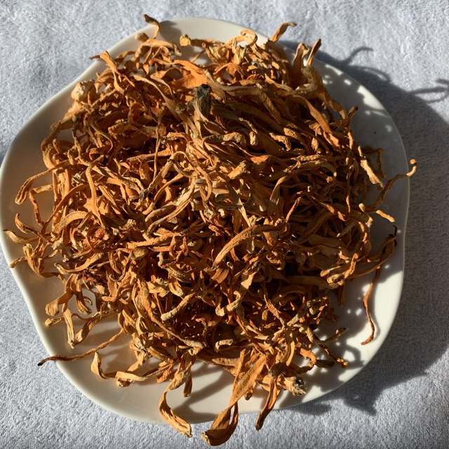 Nấm Đông Trùng Hạ Thảo (Hàng thơm, vàng, đẹp) 100g | BigBuy360 - bigbuy360.vn