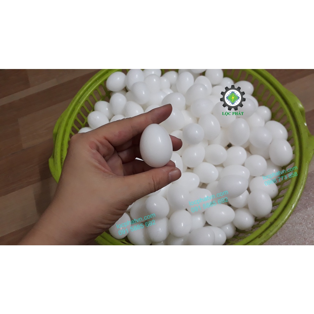 COMBO 2O TRỨNG CHIM BỒ CÂU ĐẶC BỀN, Trứng bồ câu giả bằng nhựa mới 20TRD