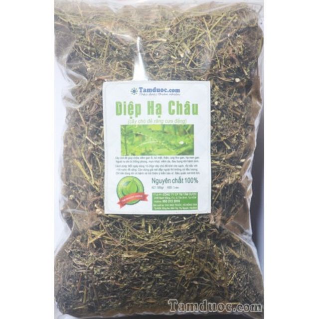 1kg diệp hạ châu còn gọi là cây chó đẻ