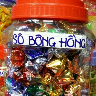 Sôcôla bông hồng