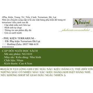 [Hình thật] CẶP ĐÔI ĐỌC SÁCH - Phụ kiện Terrarium