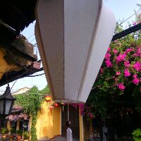 Lồng đèn sắt, vải đũi_size 45