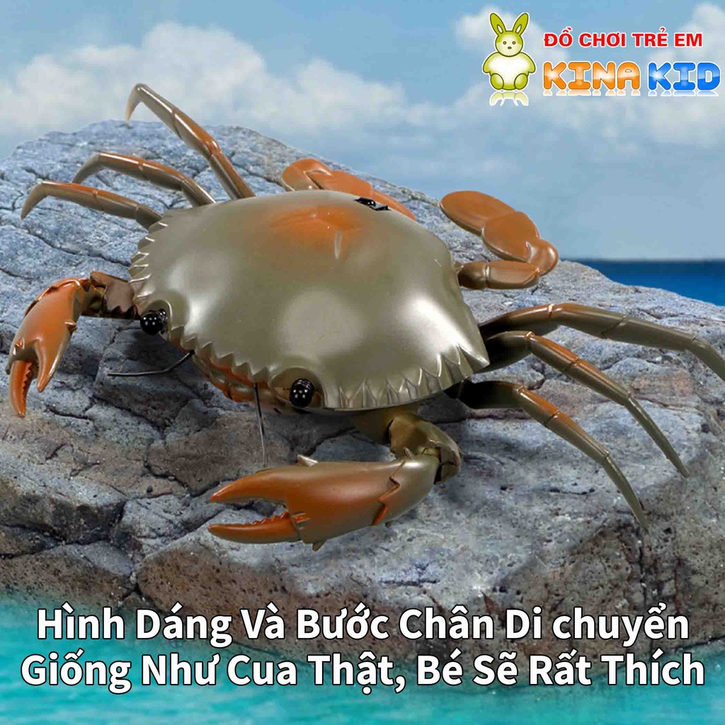 Đồ chơi con cua điều khiển từ xa Crab, biết đi giống như thật