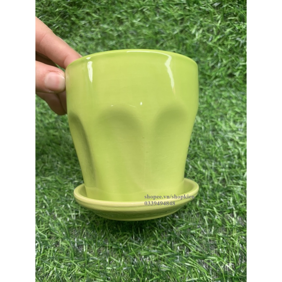 Chậu trồng cây mini  để bàn có đĩa đựng nước màu và dáng đẹp