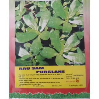 HẠT GIỐNG RAU SAM, RAU SAM, SAM ĐẤT - GÓI 2 GRAM719