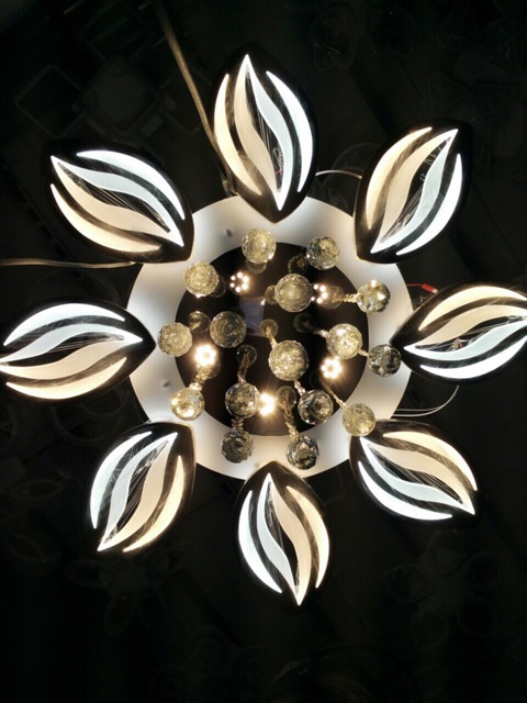 Đèn Led Ốp Trần Hiện Đại-Hột Xoài