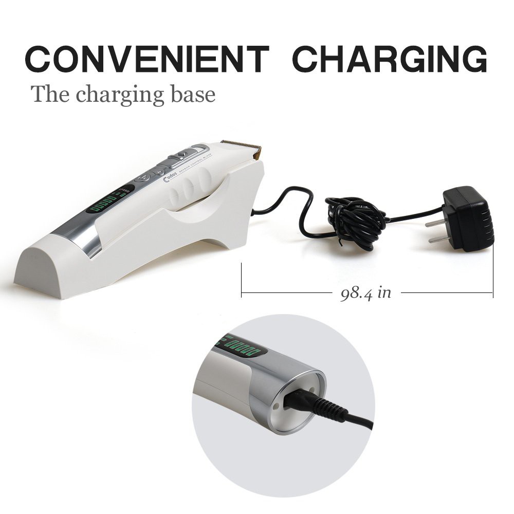 TÔNG ĐƠ CODOS 919