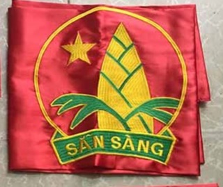 Cờ Đội TNTP Hồ Chí Minh