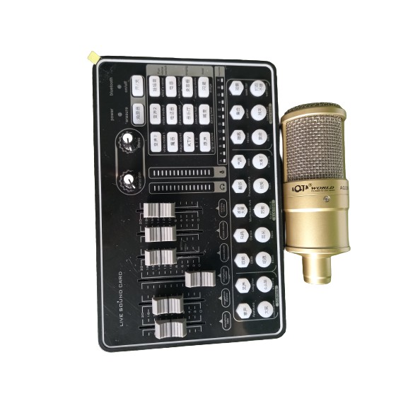 Micro Karaoke, Mic Thu Âm Phổ Thông Chất Lượng Số 1 - Mã AQ220 kiểu dáng Sang Trọng