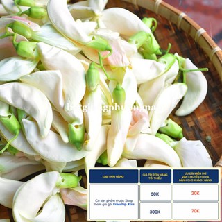 50H - HẠT GIỐNG CÂY SO ĐŨA