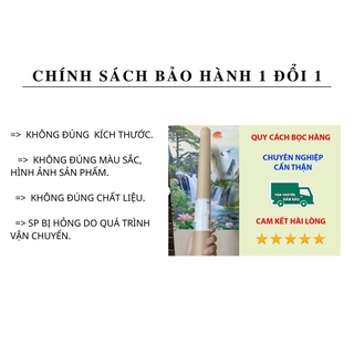Decal dán hồ cá 3D nhiều kích thước
