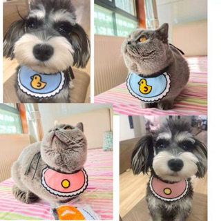 Yếm cute cho thú cưng (Có ảnh thật
