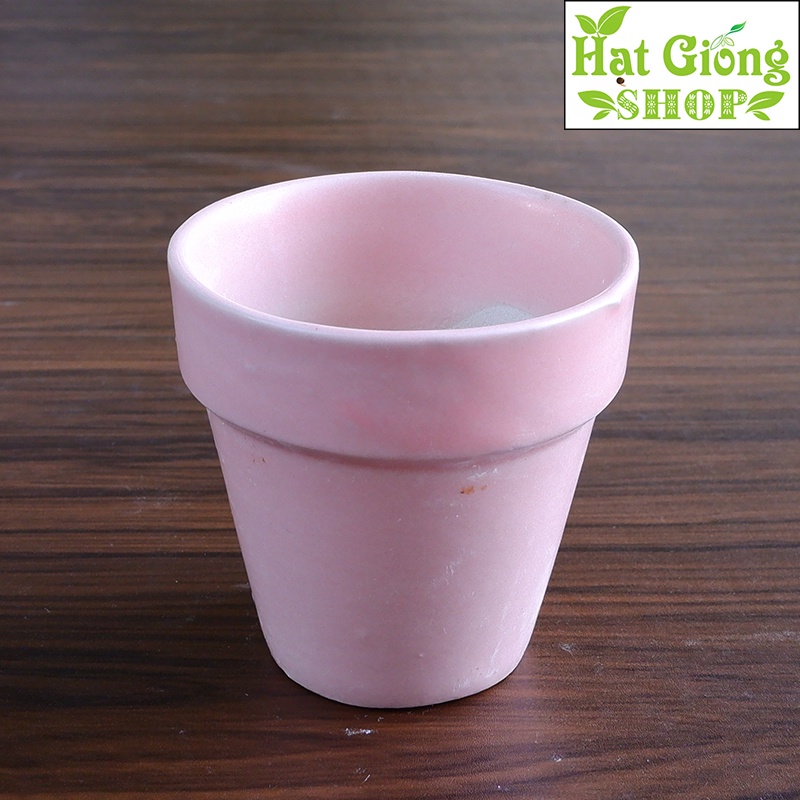Chậu trồng cây mini gờ sứ 6x6
