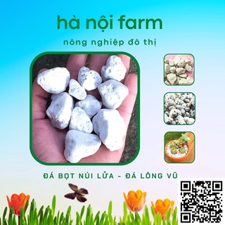 Đá bọt núi lửa, Đá lông vũ  - Đá giữ ẩm size 1-2 - túi 5dm
