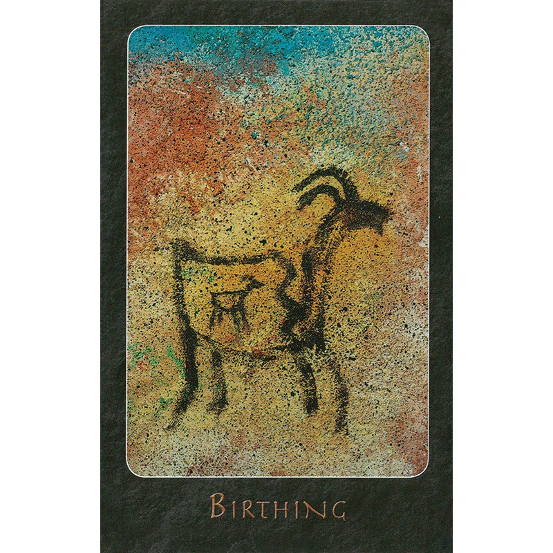 Bộ Bài A Shaman Oracle (Mystic House Tarot Shop) - Bài Gốc Authentic Chính Hãng 100%