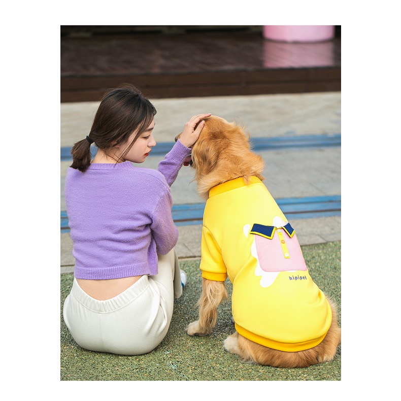 áo nỉ giả POLO dành cho chó giống lớn