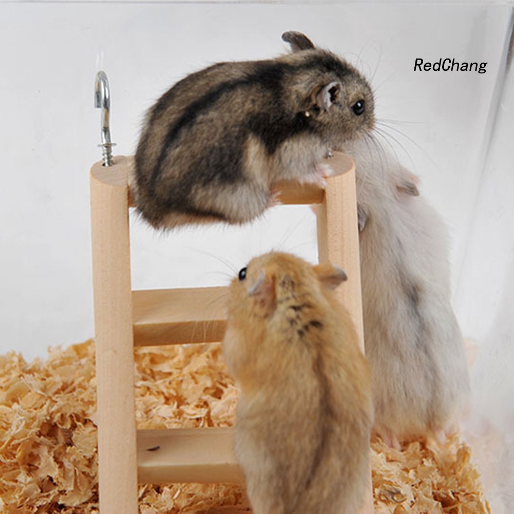 Đồ Chơi Thang Leo Trèo Bằng Gỗ Vui Nhộn Cho Chuột Hamster