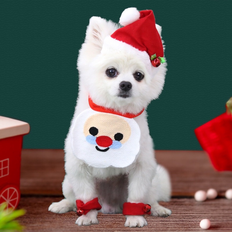 BST NOEL YẾM KIỂU GIÁNG SINH VUI VẺ DÀNH CHO THÚ CƯNG