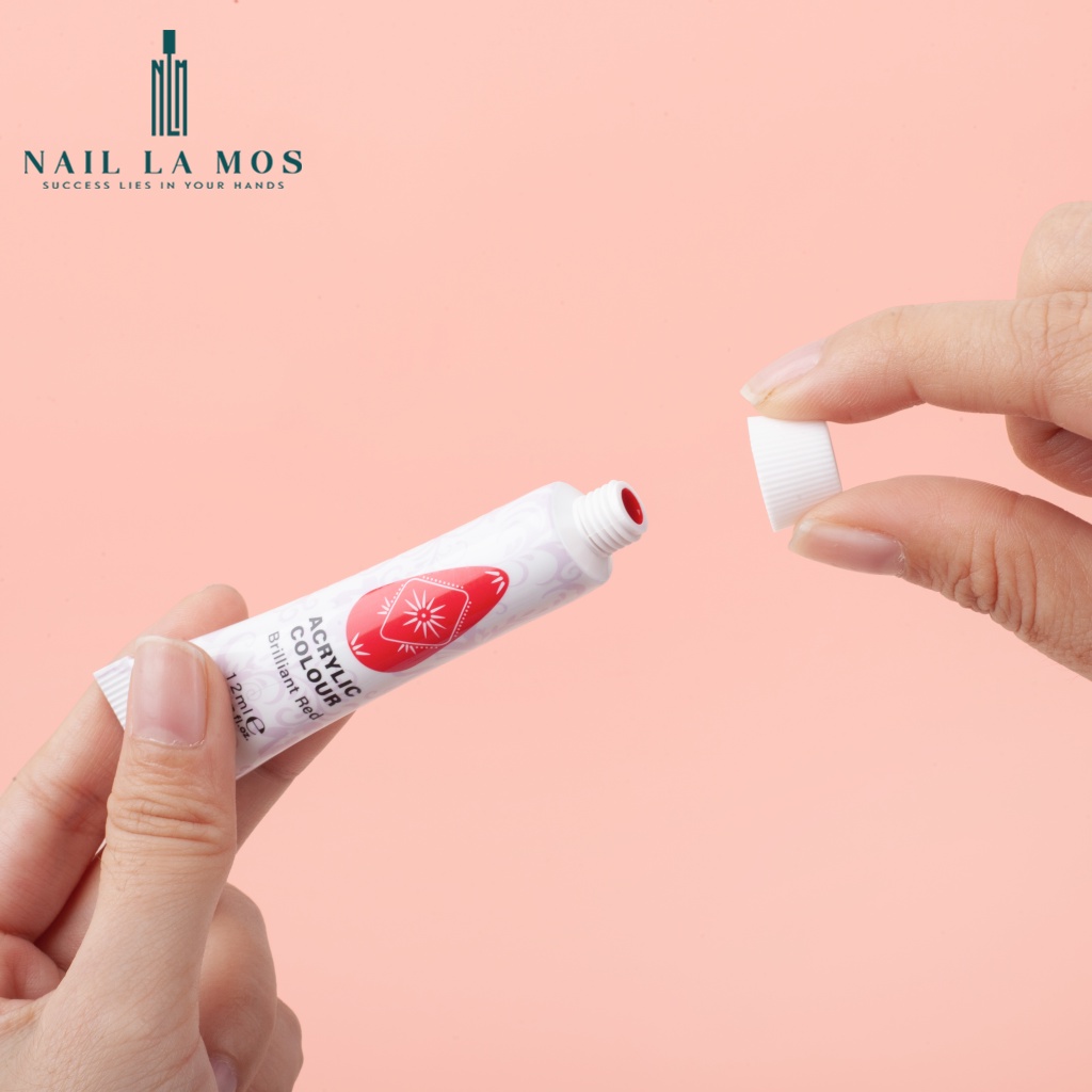 Set bột vẽ cọ bản Ecor Fin chính hãng 12 màu chuyên dụng