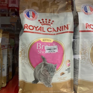 Thức ăn cho mèo royal British Shorthair kitten