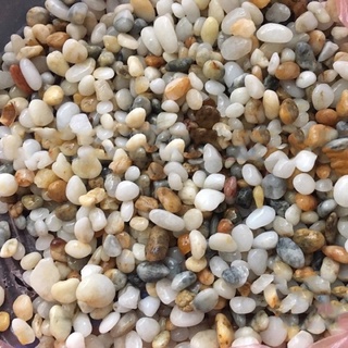 1kg Sỏi Suối 3 Màu Tự Nhiên Trang Trí Hồ Cá,Tiểu Cảnh, Bể Thủy Sinh Giá Rẻ