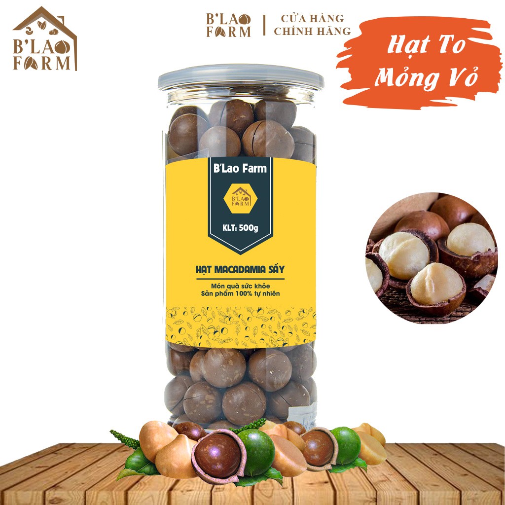 [Hũ 500g] Hạt Macca Lâm Đồng Loại Đặc Biệt Thơm Ngon, Mắc Ca Lâm Đồng Hạt Nứt Vỏ, Đặc Sản Việt, 500 gr