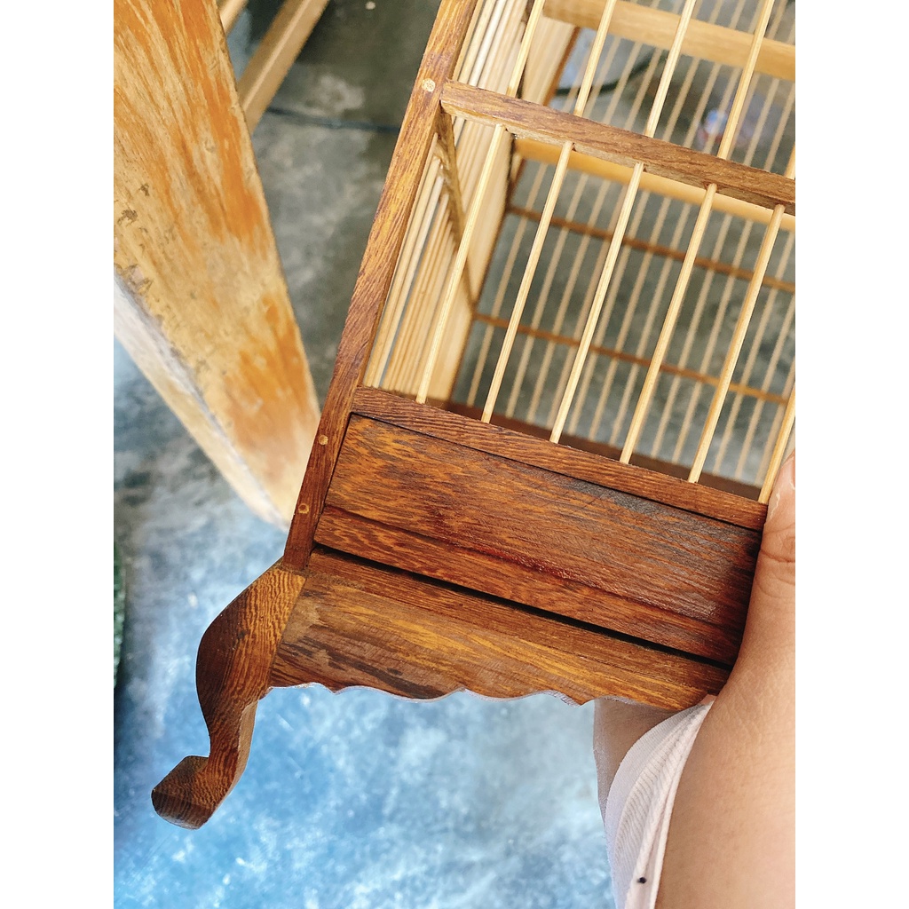 LỒNG CHIM CHÀO MÀO - THÁI ĐẤU 2