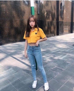 Áo crop cổ bẻ ( kèm ảnh thật )