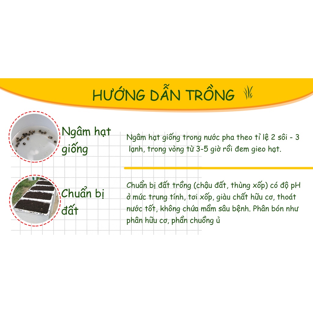 Hạt giống Xà Lách Mỹ Minetto ( Gói 2 Gram ) - Nông Sản Vàng