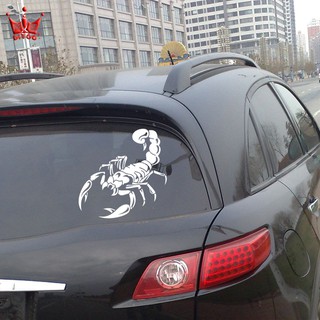 Decal bọ cạp có kích thước 20 cm X 30 cm