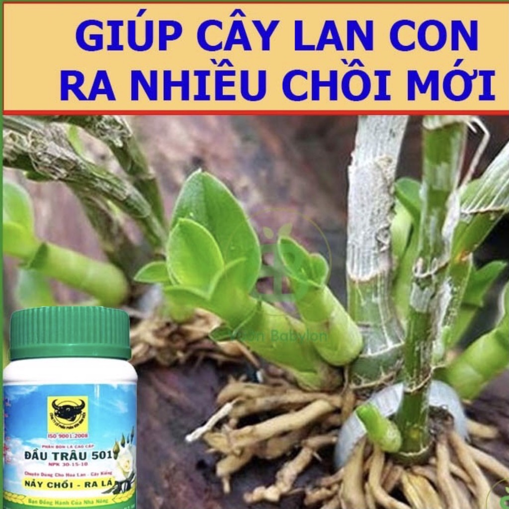 [Mã LIFEXANH03 giảm 10% đơn 500K] Phân Bón Đầu Trâu 501 - Nảy Chồi, Ra Lá lọ 100g Longf1