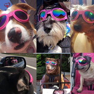 Mắt kính chống gió chống nắng bảo vệ mắt cho thú cưng