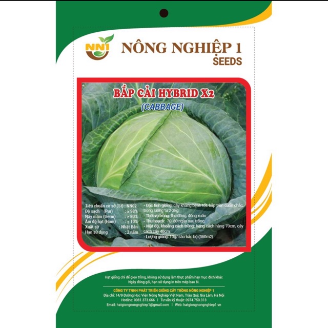 Hạt giống bắp cải