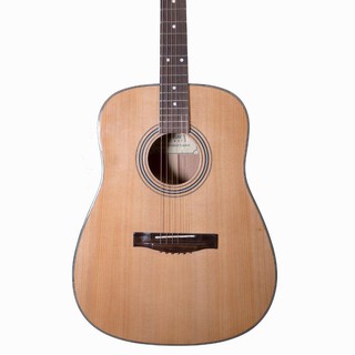 Đàn Acoustic Guitar D100