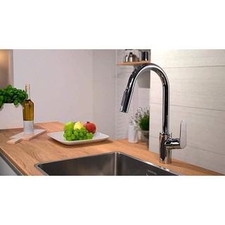 Vòi rửa bát hansgrohe focus 240 mã 31815000