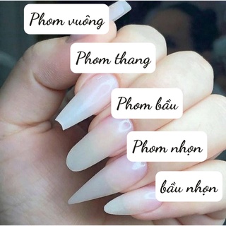 Nail box thiết kế HV01