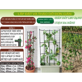 Giàn leo rộng 60 cao 150cm chuyên dùng làm khung giàn cho cây leo Daim