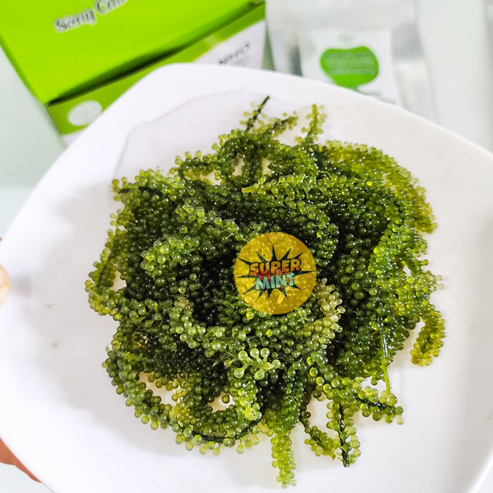 [HCM] Rong nho tách nước 100g nở ra 300g - 50g nở ra 150g Dùng ngon cùng xốt mè rang | BigBuy360 - bigbuy360.vn