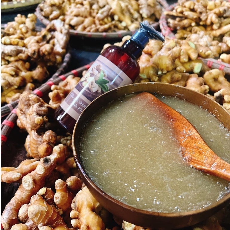 Dầu Gội Đầu Thảo Dược Tinh Chất Gừng Dưỡng Sinh, Làm Ấm Da Đầu Lưu Thông Khí Huyết 500ML