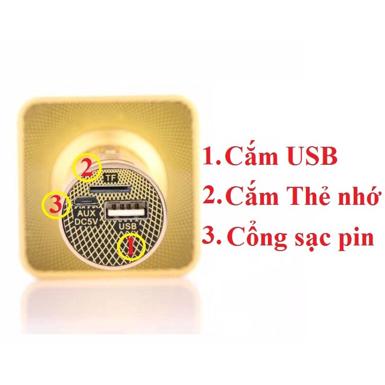 Micro karaoke Bluetooth PKCB 391 kèm Loa 3W thẻ nhớ TF, USB 3 trong 1 Hàng chính hãng